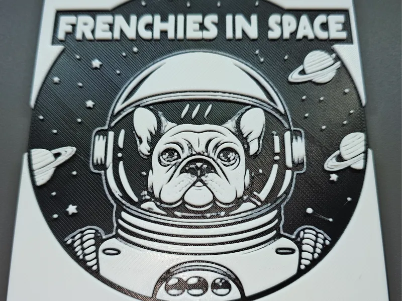 Frenchies In Space