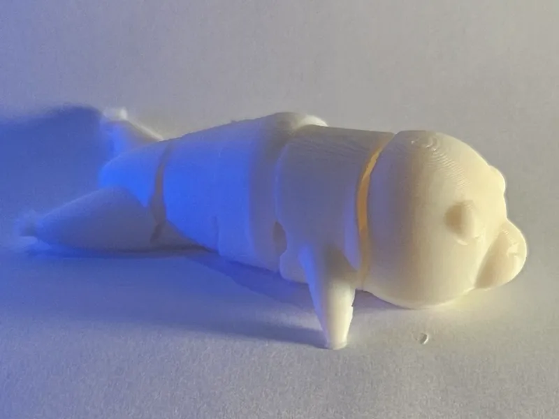 Flexi Seal