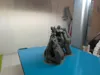 0.12mm layer, 3 walls, 15% infill