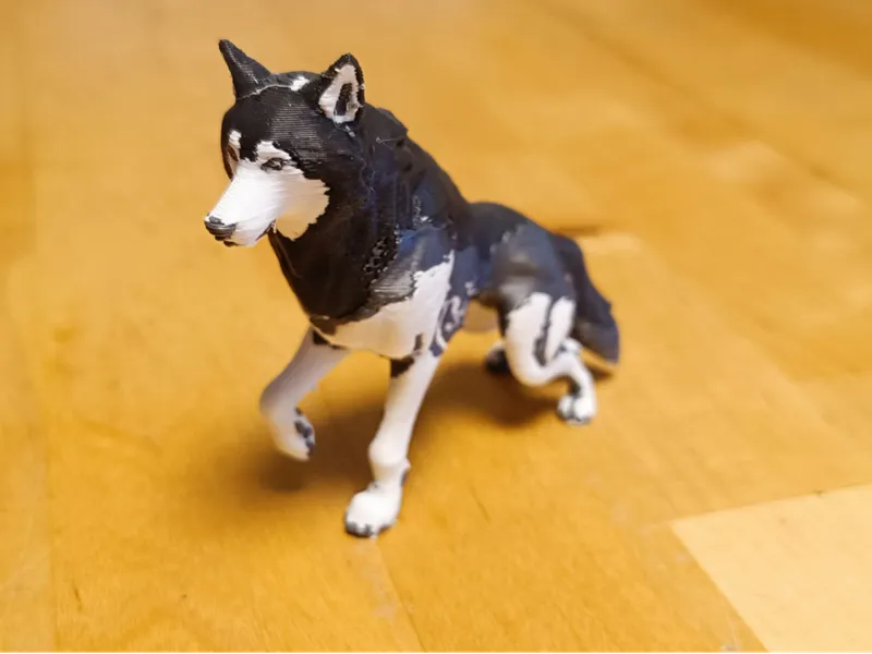 Wolf color