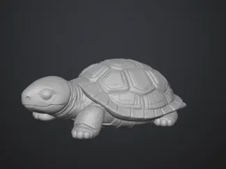 TORTOISE