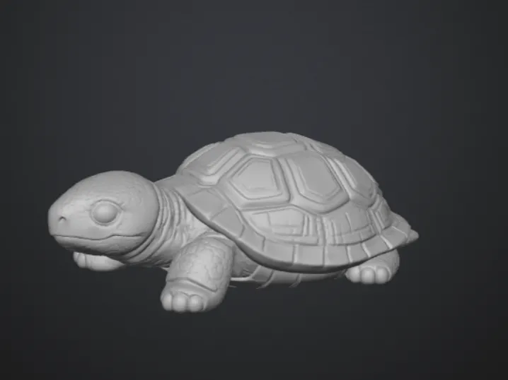 TORTOISE