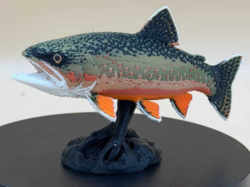 Rainbow Trout display Mount