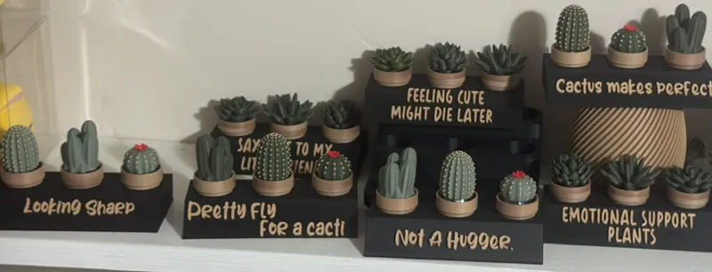Sassy Plants Pocket Plant Holders
