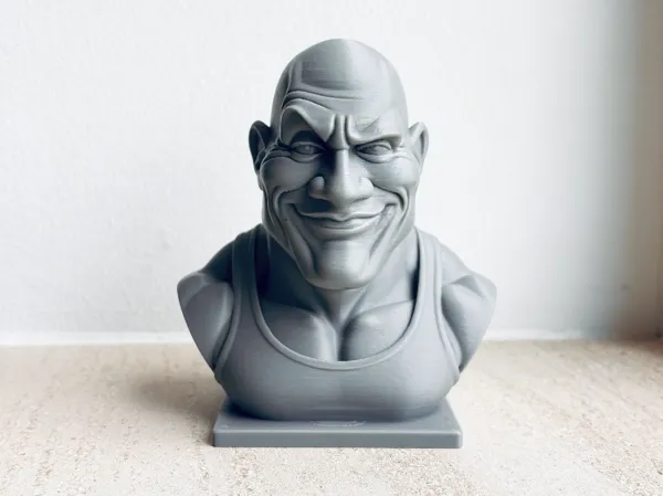 https://makerworld.bblmw.com/makerworld/model/US81167a6bdd5fc6/design/2025-06-16_ec1102c2551f7.jpg