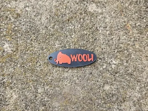 https://makerworld.bblmw.com/makerworld/model/US811af52e1ad106/design/2025-03-20_c68d51c6fdaa38.jpg