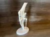0.16mm layer, 2 walls, 20% infill