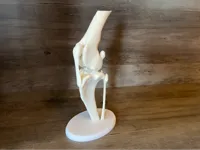 0.16mm layer, 2 walls, 20% infill