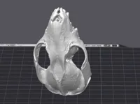 0.12mm layer, 2 walls, 15% infill