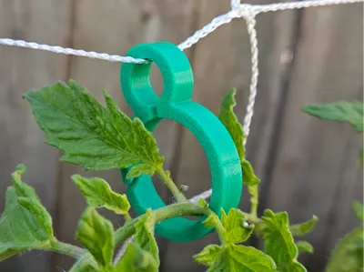 Plant supports for string