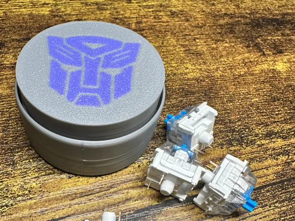 https://makerworld.bblmw.com/makerworld/model/US8120cea0940c35/design/2025-07-11_27d309afe94c8.jpeg