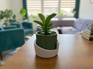 Japandi plant pot