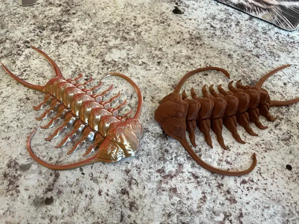 https://makerworld.bblmw.com/makerworld/model/US812b77c7517467/design/2024-08-12_9e6cb54008e64.jpg