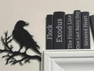 The raven Door hanger