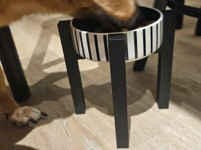 Pet raised bowl