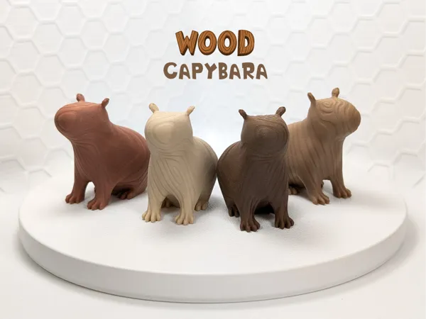 https://makerworld.bblmw.com/makerworld/model/US81309ab68a462d/design/2025-06-29_c3627c34f155e8.png