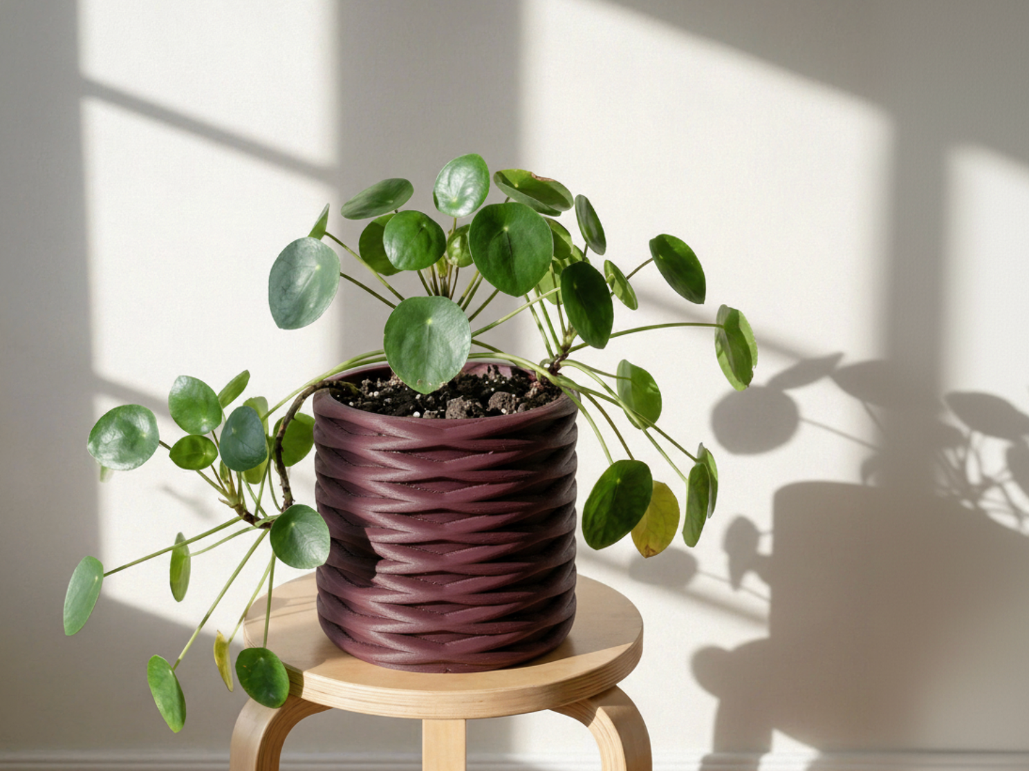 The X planter
