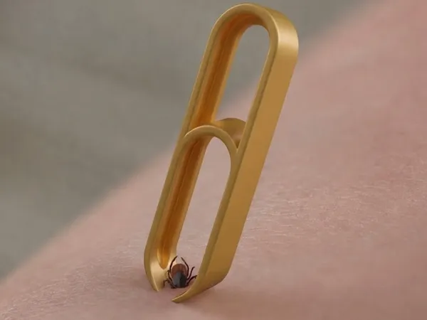 https://makerworld.bblmw.com/makerworld/model/US813a7326e805fb/design/dca5e5c792bd0944.jpg