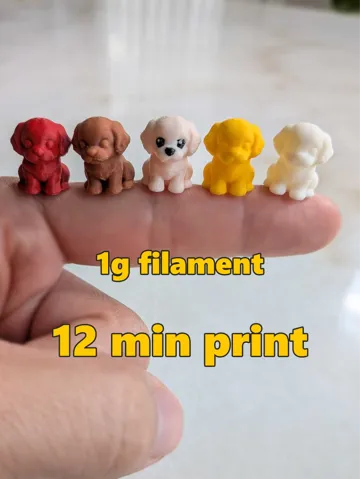 Accesorio para filamento: Small Tiny Mini Micro Cavoodle — vista de referencia 2