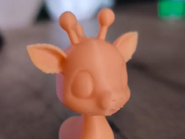 https://makerworld.bblmw.com/makerworld/model/US81401a35af6118/design/2025-05-06_72078960d9213.jpg