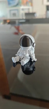 2 colours 0.12mm layer, 2 walls, 7% infill