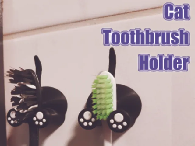 Little cat toothbrush holder