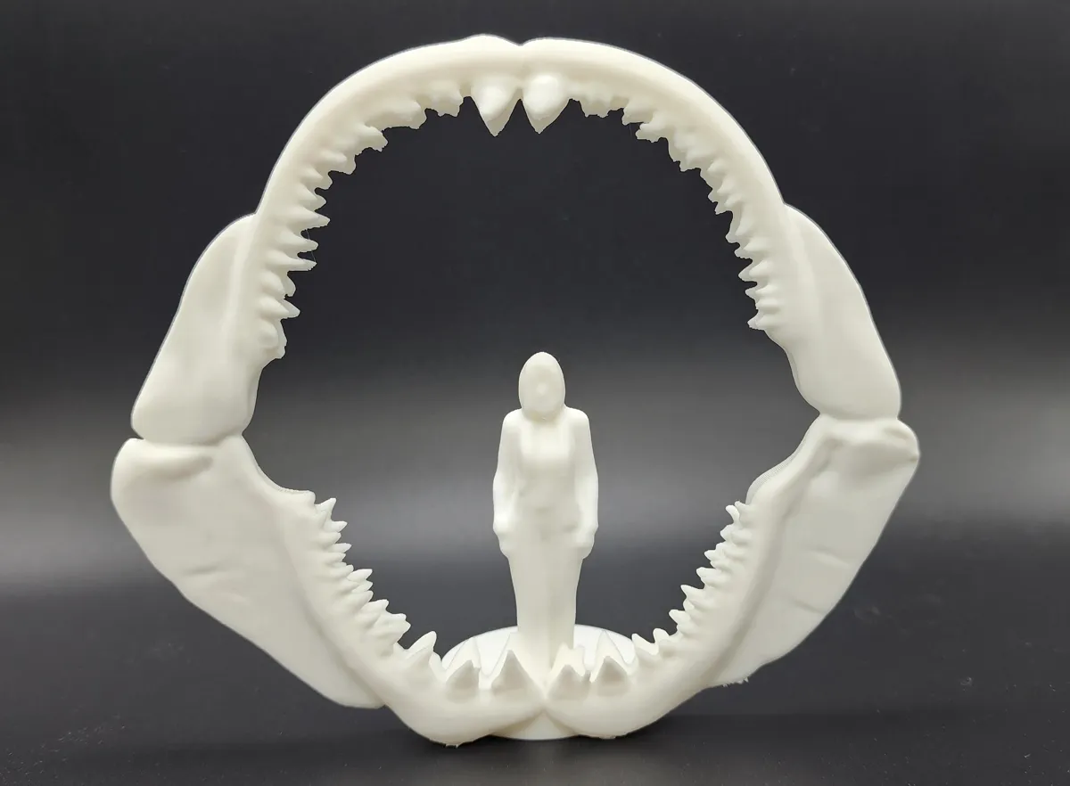 Mâchoire de mégalodon à taille humaine