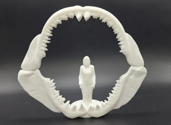 Mâchoire de mégalodon à taille humaine