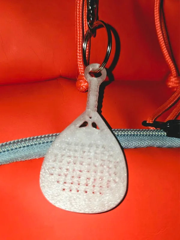 https://makerworld.bblmw.com/makerworld/model/US8148d6ffecdaca/design/2024-02-01_1b233d2329e3d.jpg