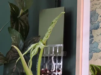 Thiccly Moss Pole Dripper Attachment