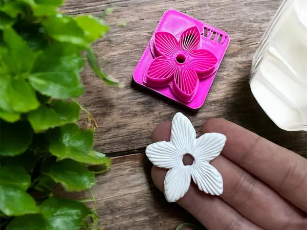 https://makerworld.bblmw.com/makerworld/model/US814c3f17c012ea/design/2025-05-31_11be5e830a3328.jpg