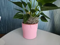 Vase à orchidée — photo 2