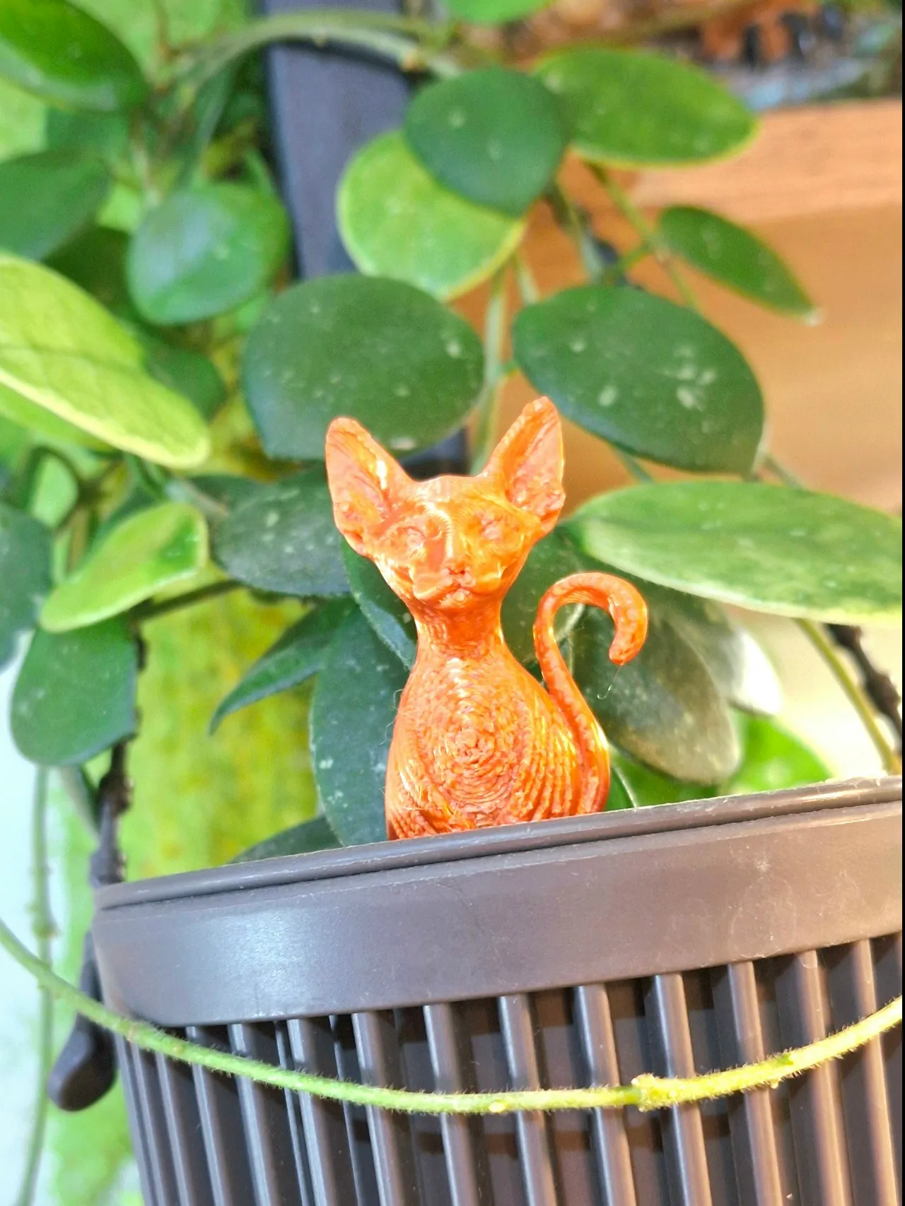 Planter_pin_cat_sphynx view 3