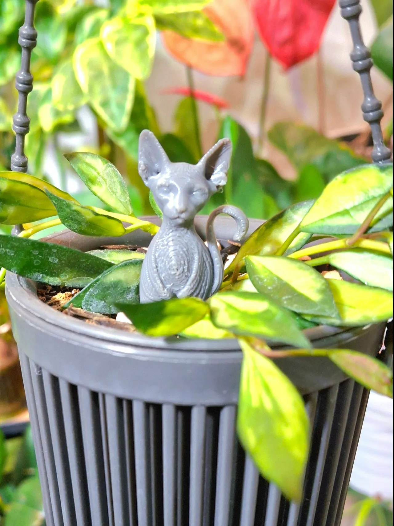 Planter_pin_cat_sphynx view 4