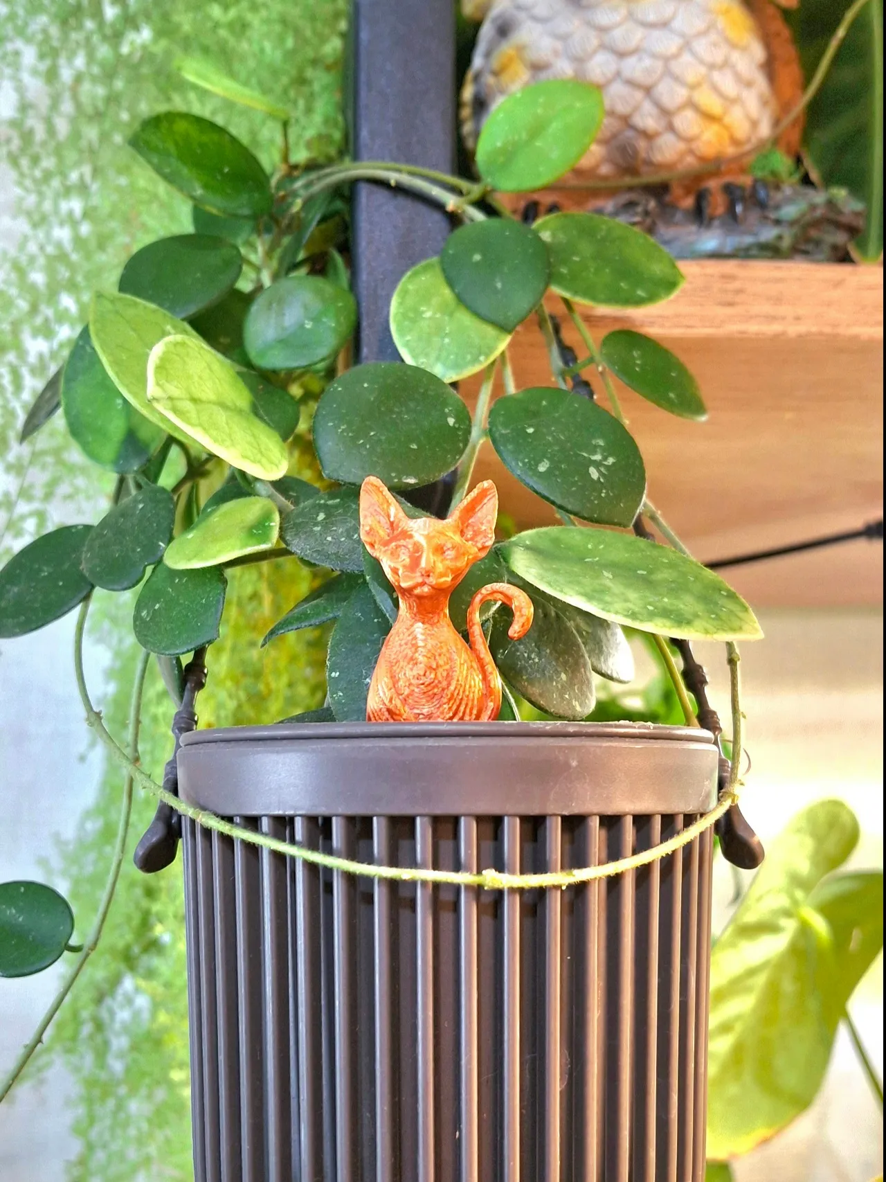 Planter_pin_cat_sphynx view 2