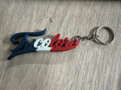 Keychain - Tricolor (French)