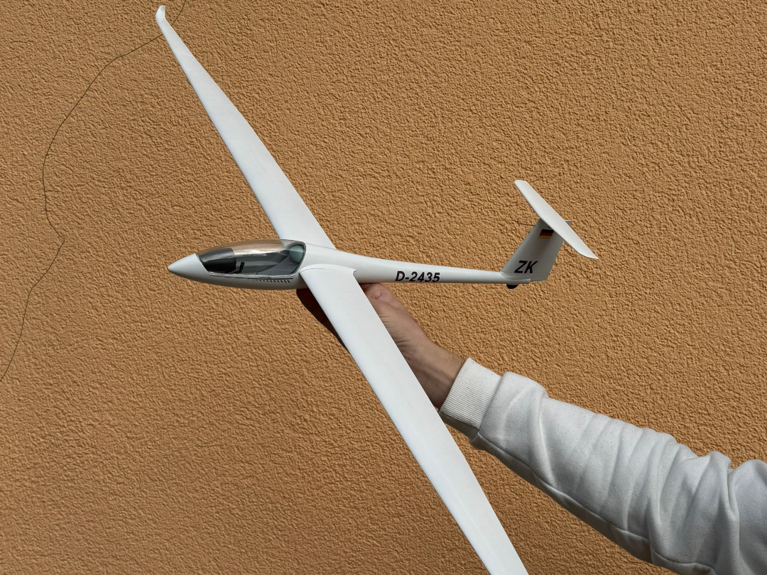 Ls-8 Glider