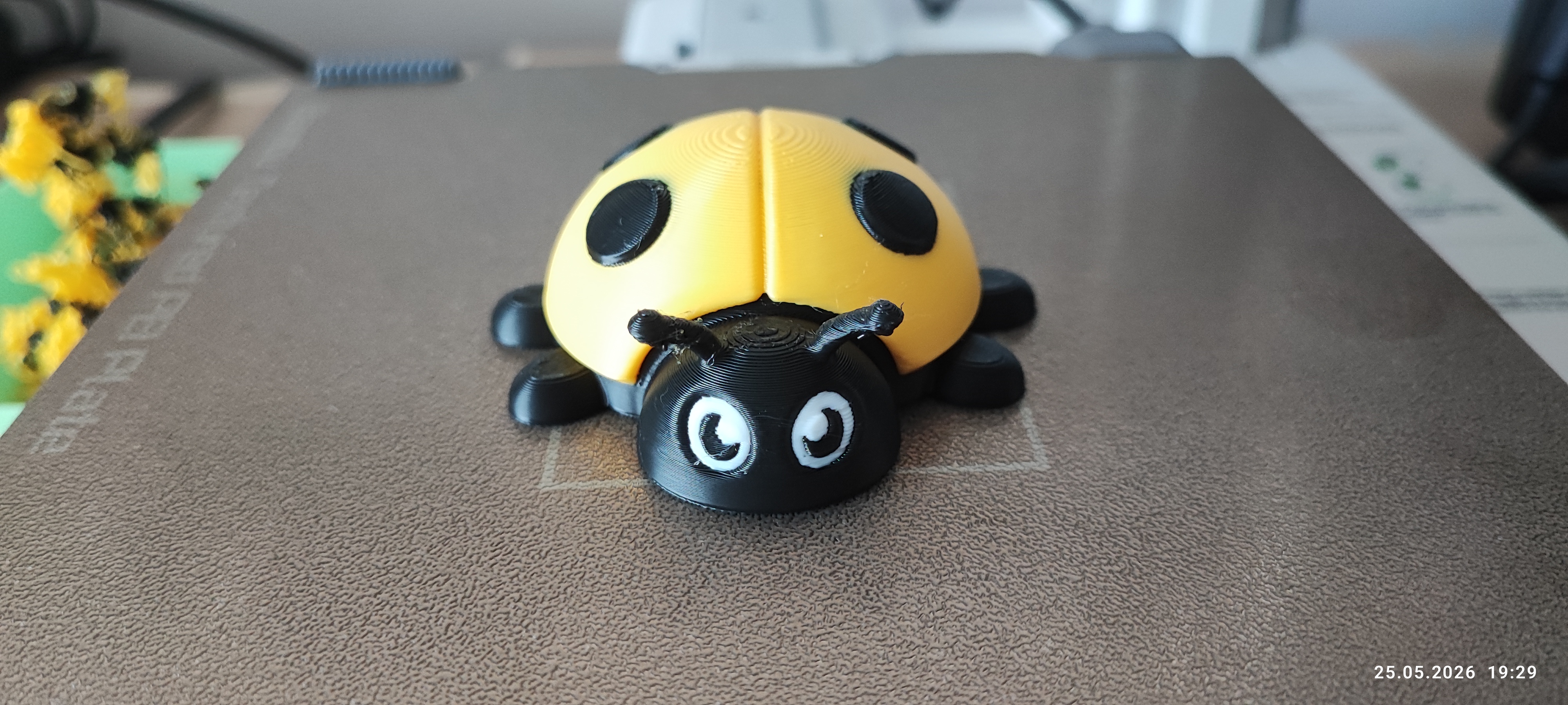 Miniatura 1 do modelo 3D Cute Ladybug Toy