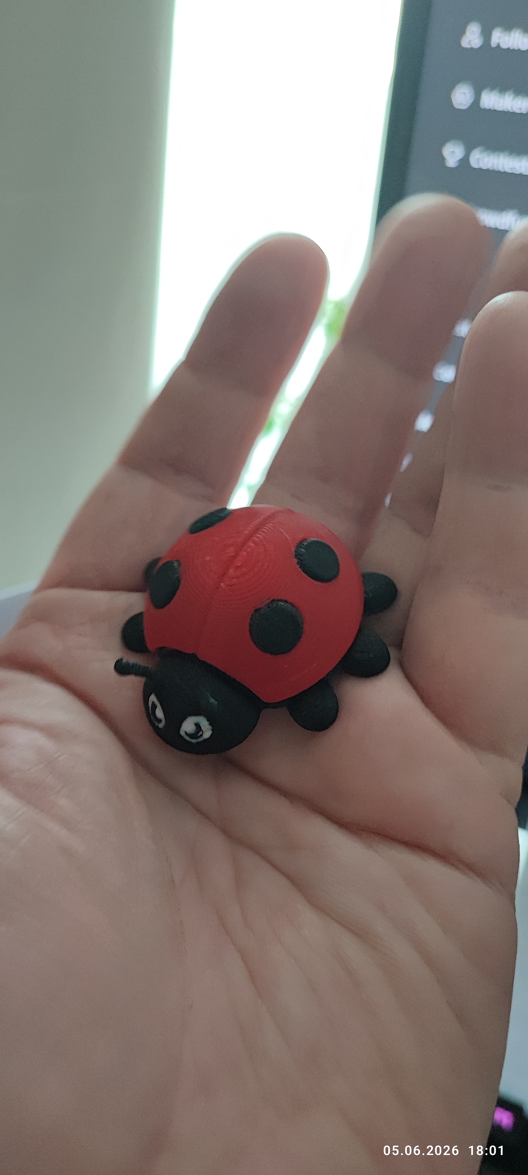 Miniatura 2 do modelo 3D Cute Ladybug Toy