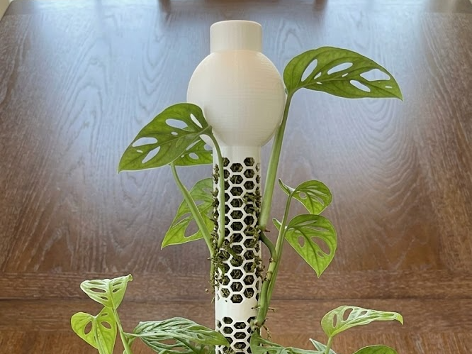 Automated Self-Watering Globe 4 Modular Moss Poles