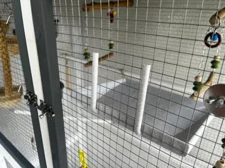 Vogelbecken