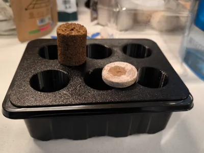 Parametric 6-Holed Seed Tray for Germination Box