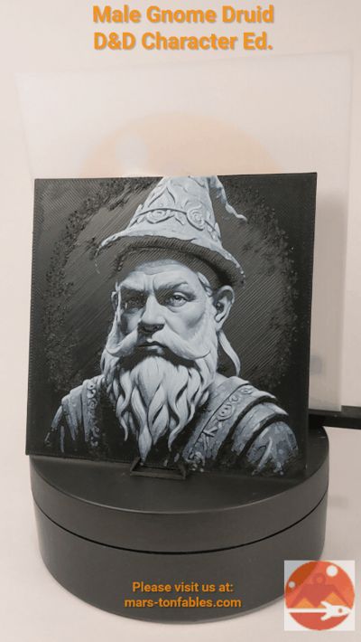 MTF-F004-Male Gnome Druid