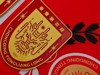 重庆铜梁龙队徽
