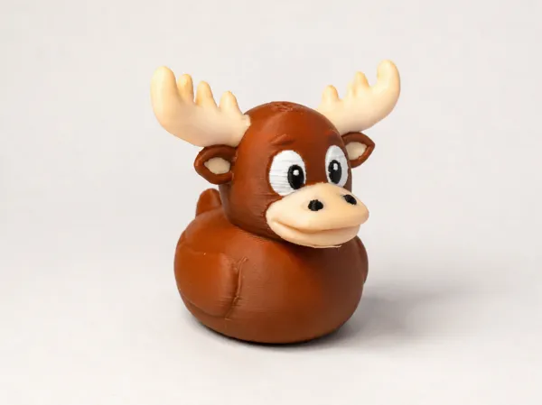 https://makerworld.bblmw.com/makerworld/model/US8165914813d53b/design/d1fdd23084cfc524.png
