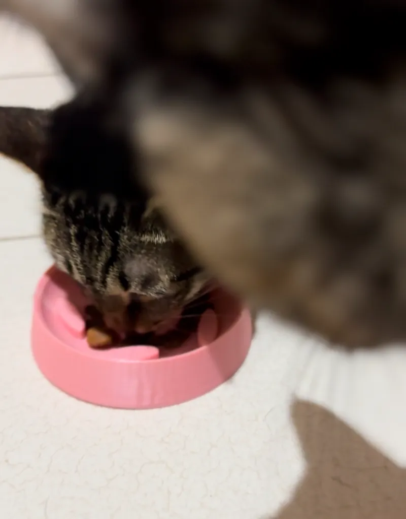 寵物用慢食碗