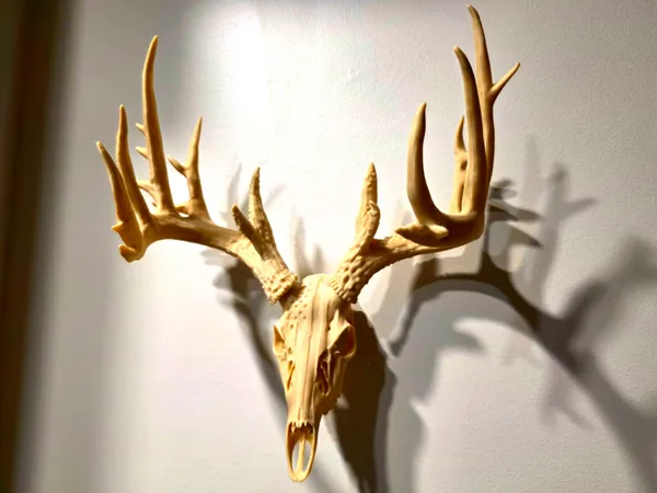 https://makerworld.bblmw.com/makerworld/model/US8171ea94245932/design/36a5135def7b4cf6.jpg