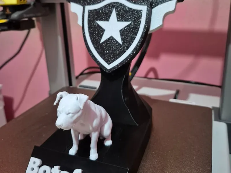 Troféu Botafogo "Estrela Solitária''