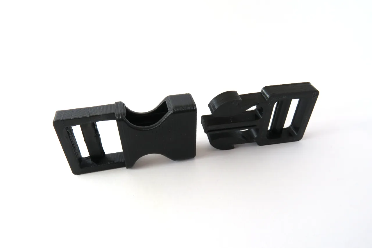 Buckle view 2