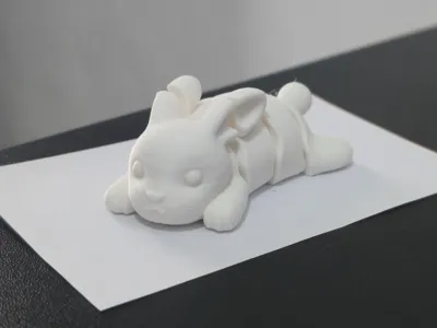 Flexible Rabbit